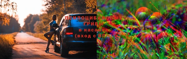 каннабис Абаза